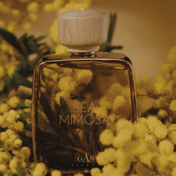 The One For Men Gold Eau De Parfum