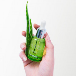 Eponge Konjac Exfoliant
