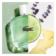 L.12.12 Eau Fraiche Lui Eau De Toilette