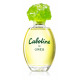 Cabotine Eau De Parfum