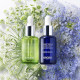 L’Huile Visage Elixir Nuit Concentré de Régénération Nocturne