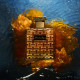 Ambre des Abysses Eau De Parfum