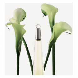 Boho Vibes Edp Rollerball