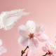 The Ritual of Sakura Déodorant