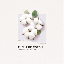 Coconut Repair Leave In Sérum