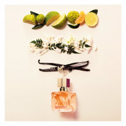 Pinceau Blush Biseaute