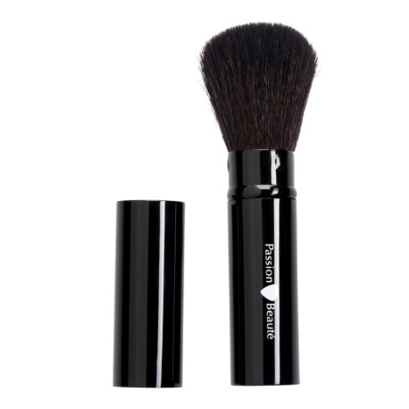 Pinceau Poudre Retractable