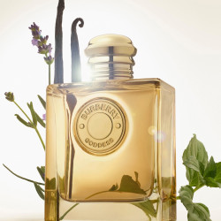 Serpent Bohème Eau De Parfum