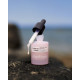 Elixir du Rivage Sérum Anti Rides Repulpant