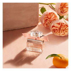 Elemi & Ambre Noir Eau Parfumée 100% Naturelle Concentrée